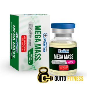 Latina Blend 1 | Ciclo de Definición Sostenida | 400mg/10ml