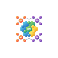 Aminoacidos y Bcaa